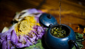Capture the serene beauty of Vietnam’s green tea rituals